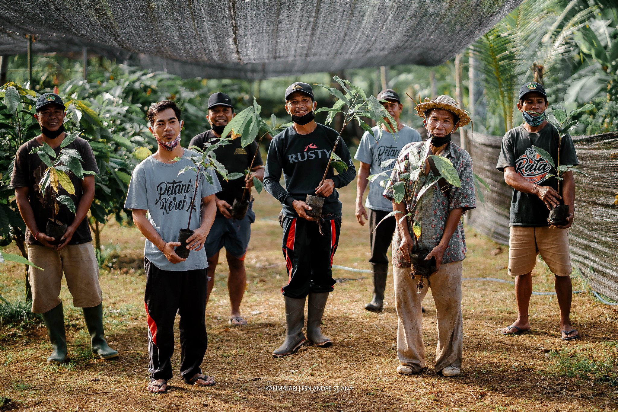 cocoa project in Indonesia